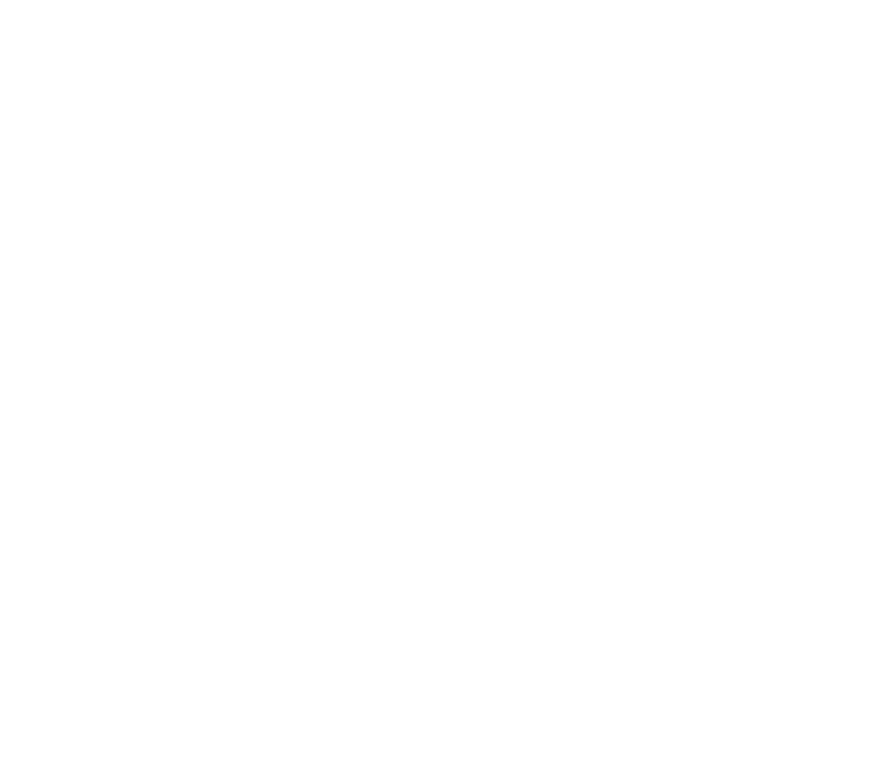 Capital Wave Logo